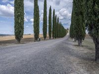 Rustic Road in Tuscany, Europe: A Green Landscape