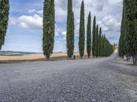 Rustic Road in Tuscany, Europe - Green Landscape 004