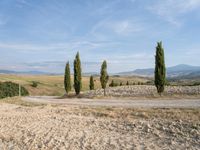 Rustic Road in Tuscany: Exploring the Beauty of Nature