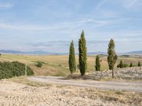 Rustic Road in Tuscany: Exploring the Beauty of Nature