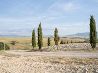 Rustic Road in Tuscany: Exploring the Beauty of Nature