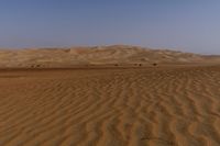 a lone tree in the middle of the desert against the background of large sand dunes with dirt