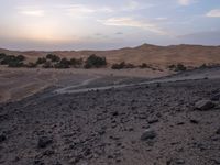 a truck on a dirt road in the desert with rocks and stones on the ground