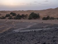 a truck on a dirt road in the desert with rocks and stones on the ground