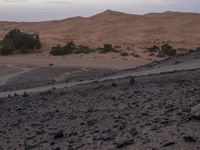 a truck on a dirt road in the desert with rocks and stones on the ground