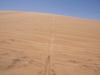 Sahara Desert Dune Landscape under Clear Sky in Morocco