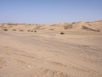 a truck on a dirt road in the desert with rocks and stones on the ground