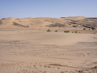 a truck on a dirt road in the desert with rocks and stones on the ground