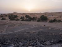 a truck on a dirt road in the desert with rocks and stones on the ground