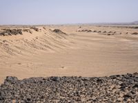 Sahara Desert Landscape: High Dunes and Open Space