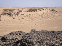 Sahara Desert Landscape: High Dunes and Open Space