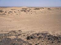 Sahara Desert Landscape: High Dunes and Open Space