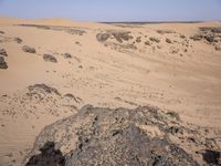 Sahara Desert Landscape: High Dunes and Open Space