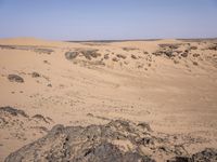 Sahara Desert Landscape: High Dunes and Open Space