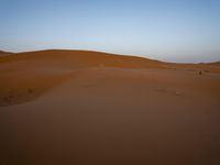 Sahara Desert Landscape: Sand Dunes 001