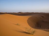 Sahara Desert in Marocco: A Beautiful Dune Landscape