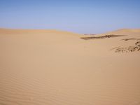 the sand is thin enough to carry any kind of item in the desert or in this area