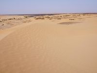 the sand is thin enough to carry any kind of item in the desert or in this area