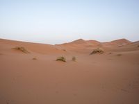 The Sahara Desert in Marocco: A Journey Through Sand Dunes