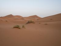 The Sahara Desert in Marocco: A Journey Through Sand Dunes