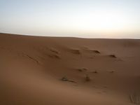 The Sahara Desert in Marocco: A Journey Through Sand Dunes