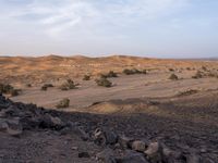 a truck on a dirt road in the desert with rocks and stones on the ground