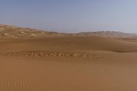 a lone tree in the middle of the desert against the background of large sand dunes with dirt