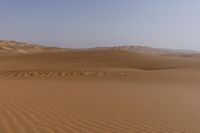 a lone tree in the middle of the desert against the background of large sand dunes with dirt