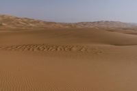 a lone tree in the middle of the desert against the background of large sand dunes with dirt