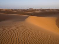 The Sahara Desert: Sand Dune Landscape