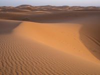 The Sahara Desert: Sand Dune Landscape