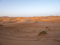 Exploring the Sahara Desert: Sand Dunes and Caravans