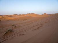 Exploring the Sahara Desert: Sand Dunes and Caravans