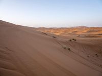 Exploring the Sahara Desert: Sand Dunes and Caravans