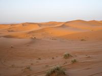 Exploring the Sahara Desert: Sand Dunes and Caravans