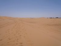 Sand Dunes of the Sahara Desert: Under a Clear Sky