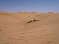 Sand Dunes of the Sahara Desert: Under a Clear Sky