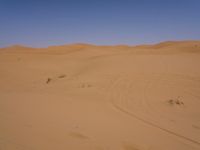 Sand Dunes of the Sahara Desert: Under a Clear Sky