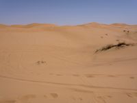 Sand Dunes of the Sahara Desert: Under a Clear Sky