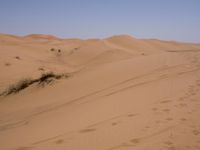 Sand Dunes of the Sahara Desert: Under a Clear Sky