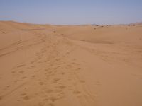 Sand Dunes of the Sahara Desert: Under a Clear Sky