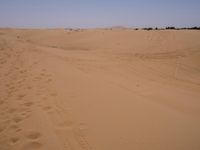 Sand Dunes of the Sahara Desert: Under a Clear Sky