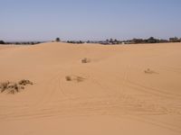 Sand Dunes of the Sahara Desert: Under a Clear Sky
