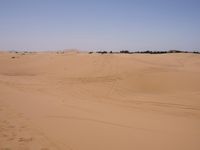 Sand Dunes of the Sahara Desert: Under a Clear Sky