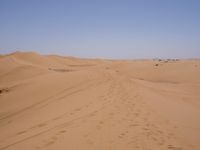 Sand Dunes of the Sahara Desert: Under a Clear Sky