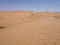 Sand Dunes of the Sahara Desert: Under a Clear Sky