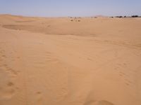 Sand Dunes of the Sahara Desert: Under a Clear Sky