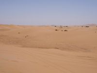 Sand Dunes of the Sahara Desert: Under a Clear Sky