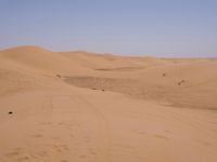 Sand Dunes of the Sahara Desert: Under a Clear Sky