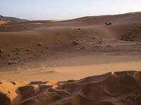 Sahara Desert: Sand Dunes, Vast Landscape, and the Beauty of Dawn